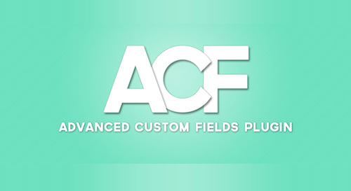 Intro to Advanced Custom Fields